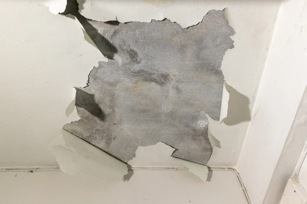 leaky basement repair Sarnia